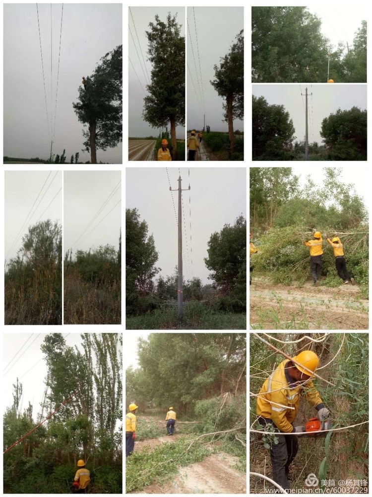 nba竞猜官网:石塘镇开展架空电力线路附近树木清理专项整治工作